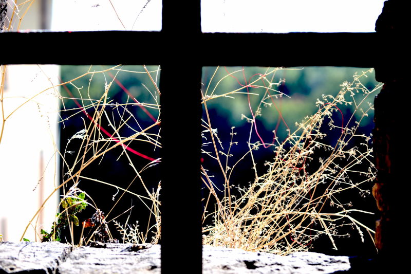 Borgo - The Red Thread, Part 1